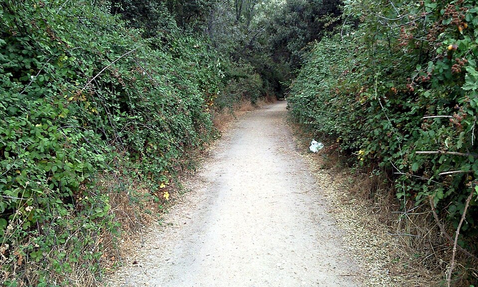 Foto 2 — Moralzarzal, Madrid (28411)