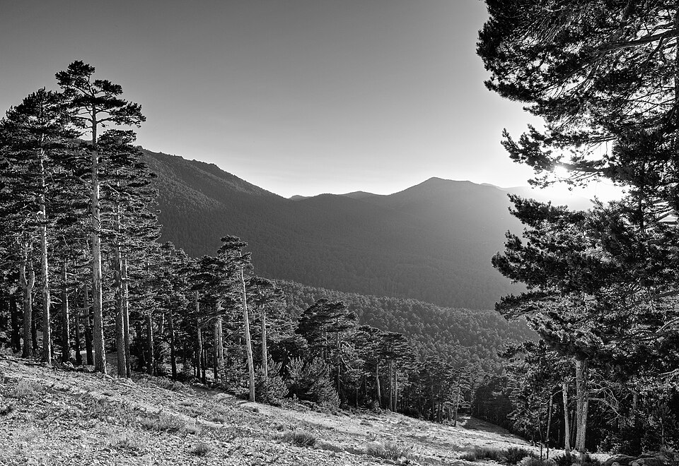 Foto 2 — Navacerrada, Madrid (28491)