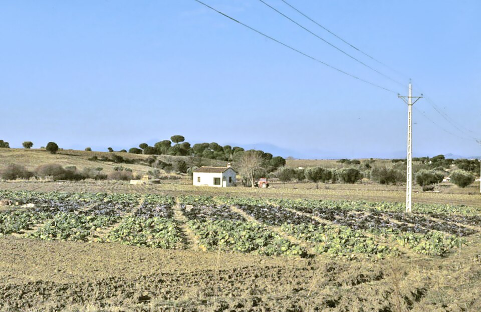 Foto 5 — Navalcarnero, Madrid (28600)