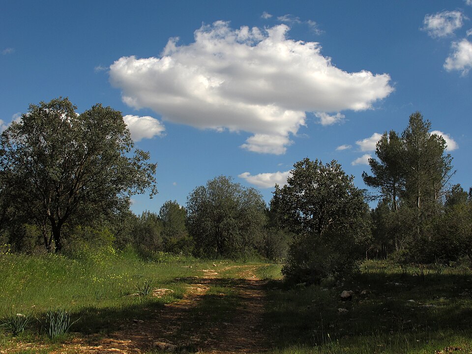 Foto 2 — Orusco de Tajuña, Madrid (28570)