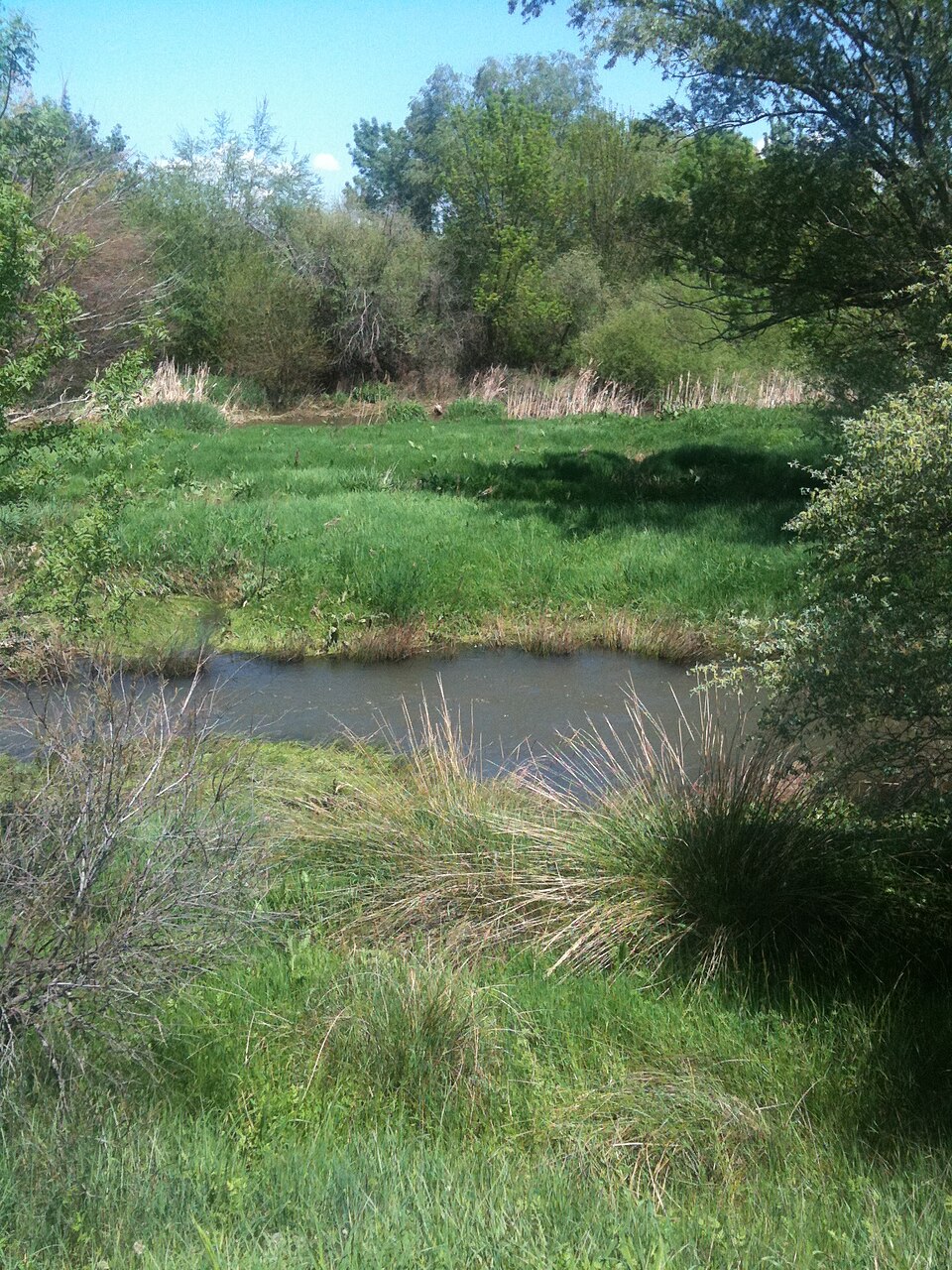 Foto 2 — Paracuellos de Jarama, Madrid (28860)
