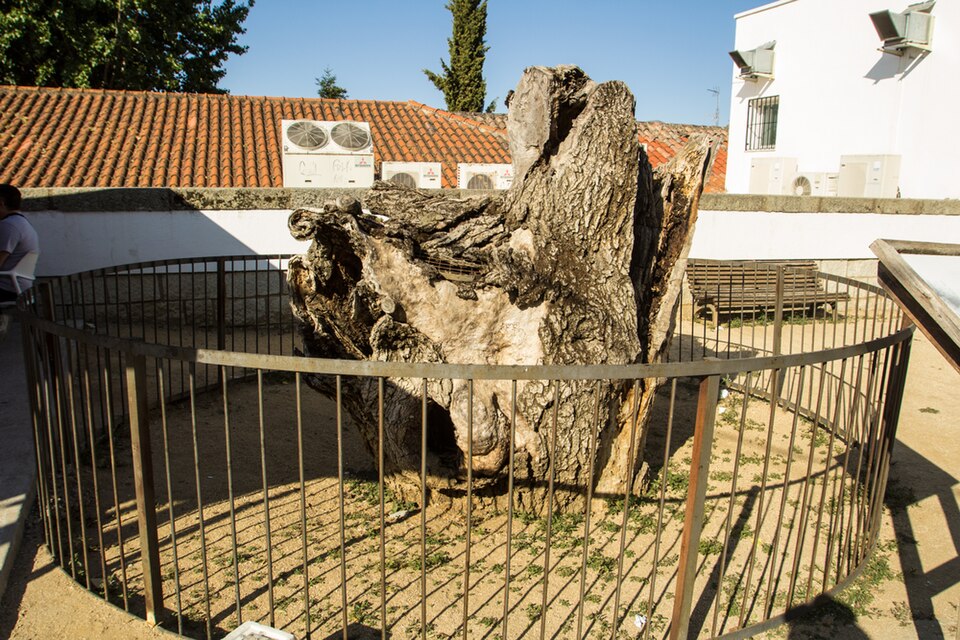 Foto 3 — San Martín de Valdeiglesias, Madrid (28680)