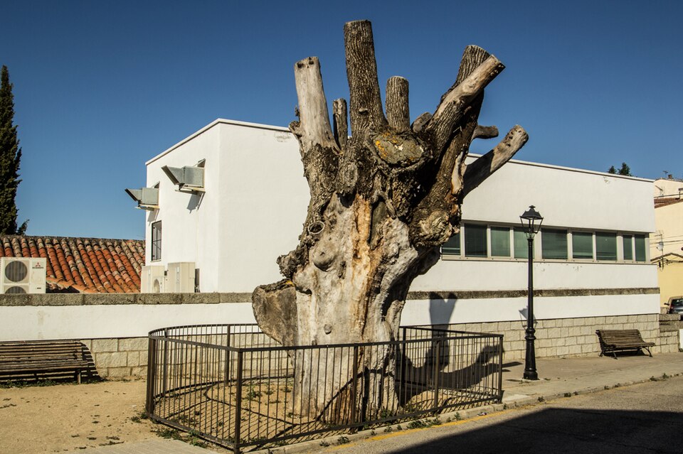 Foto 4 — San Martín de Valdeiglesias, Madrid (28680)