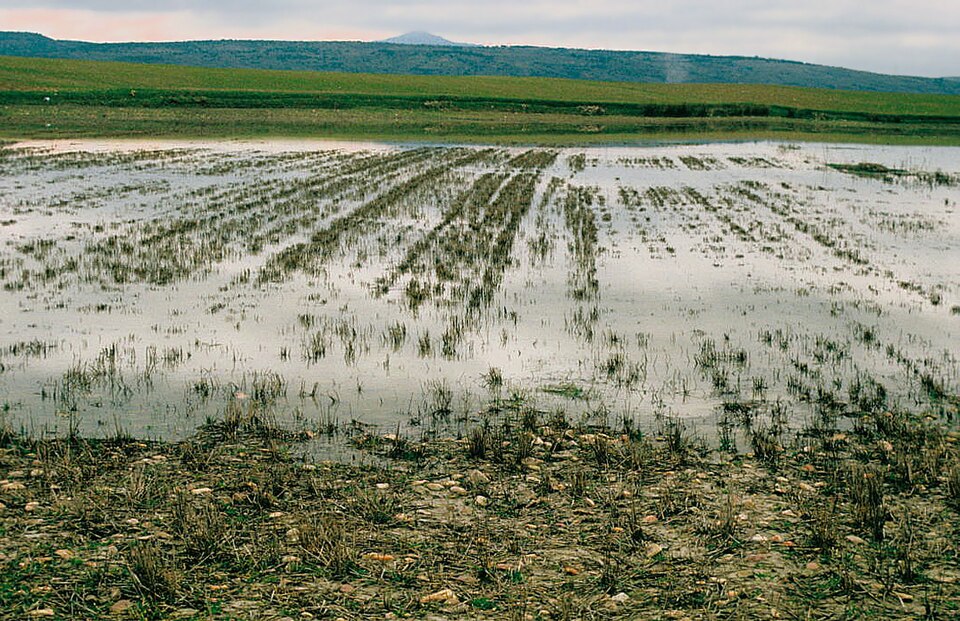 Foto 3 — Torremocha de Jarama, Madrid (28189)
