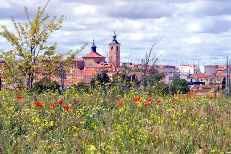 Vista de Valdemoro, Madrid (28161)
