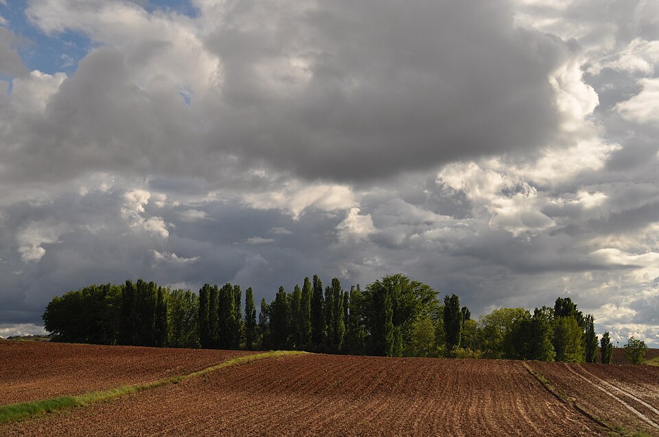 Foto 3 — Valdeolmos-Alalpardo, Madrid (28130)