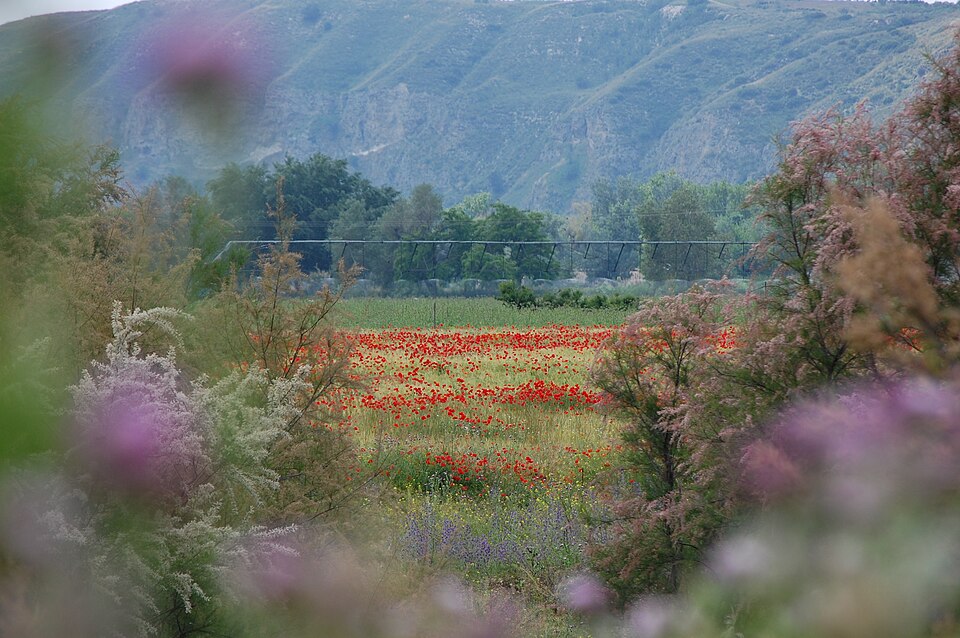 Foto 2 — Velilla de San Antonio, Madrid (28891)