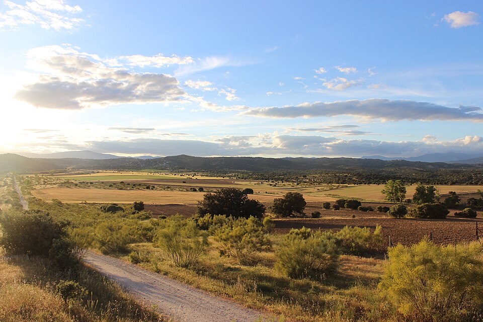 Foto 5 — Villanueva del Pardillo, Madrid (28229)