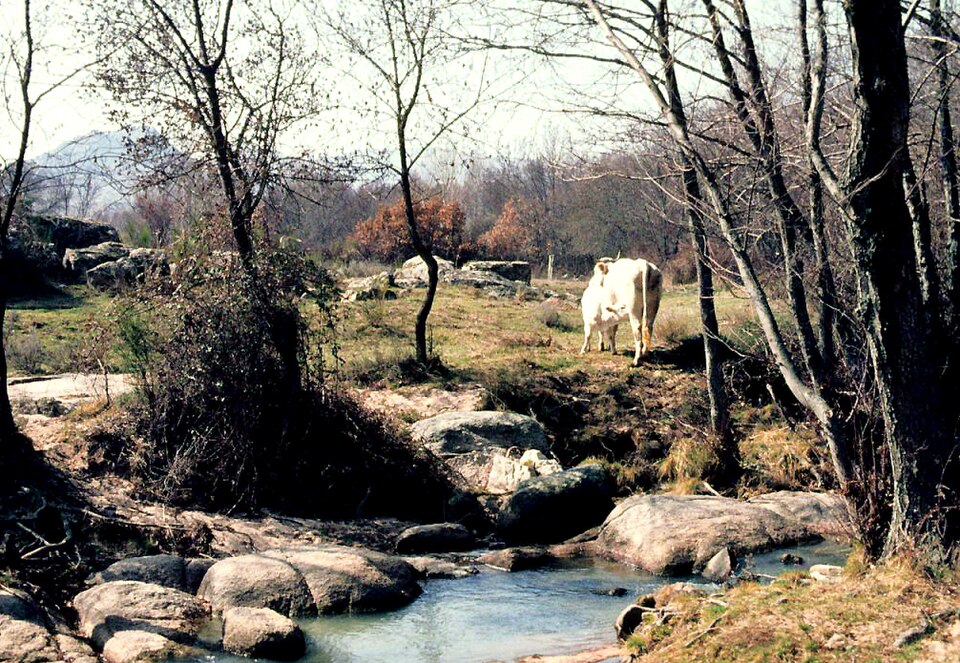 Foto 5 — Lozoyuela-Navas-Sieteiglesias, Madrid (28752)