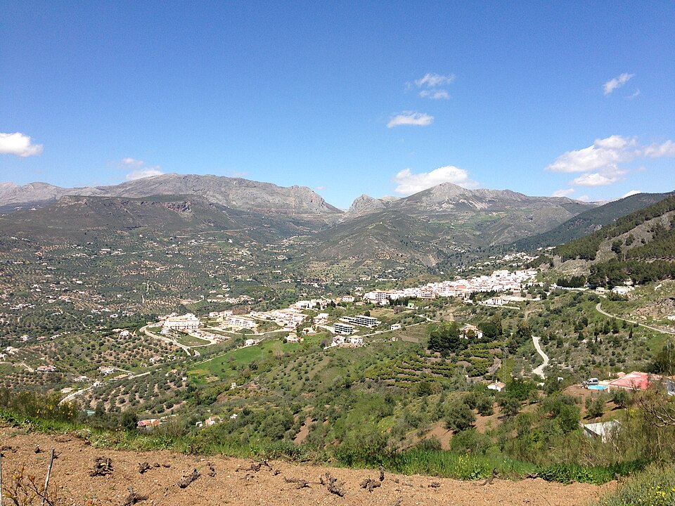 Foto 3 — Alcaucín, Málaga (29711)