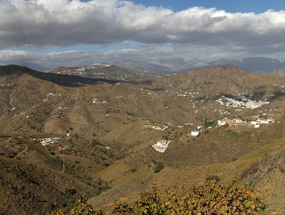 Foto 2 — Almáchar, Málaga (29718)