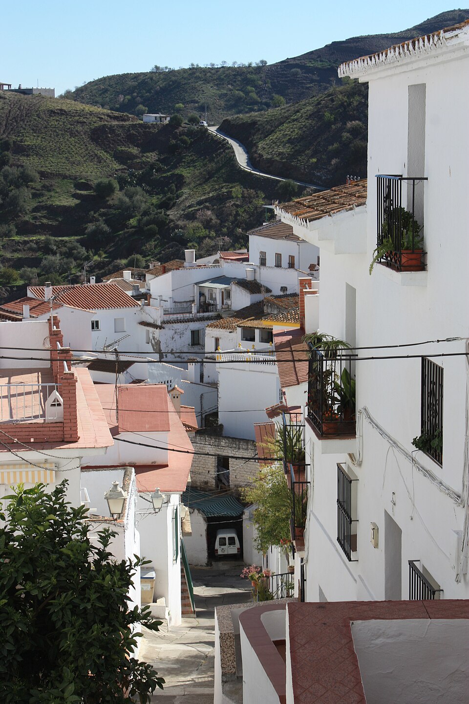 Foto 5 — Almáchar, Málaga (29718)