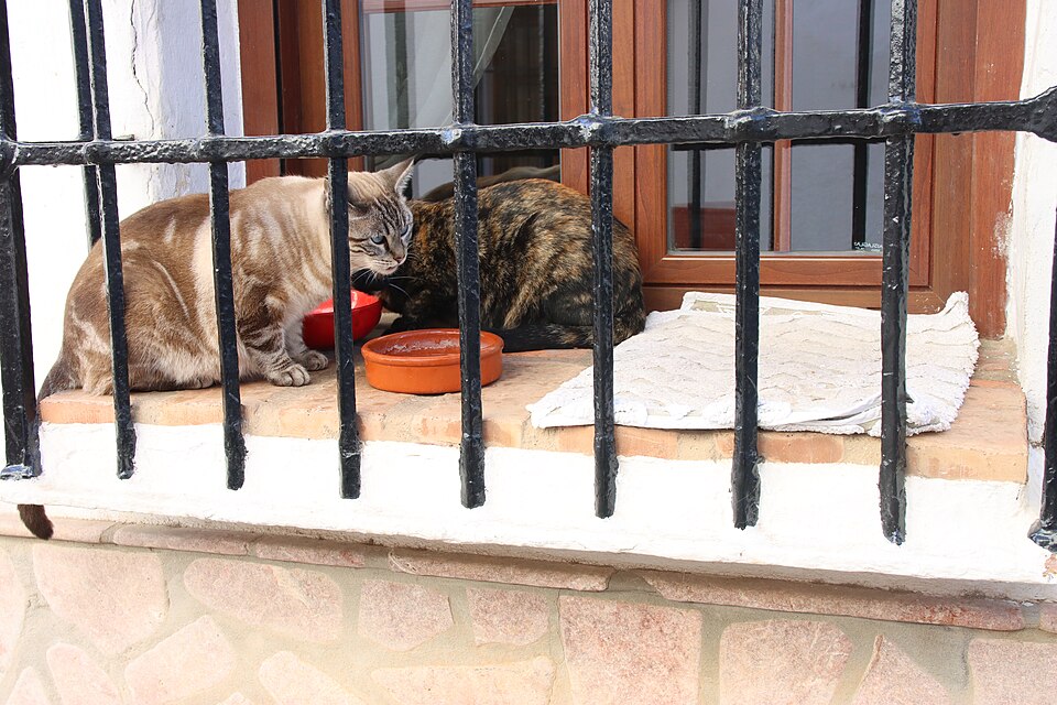 Foto 4 — Álora, Málaga (29500)