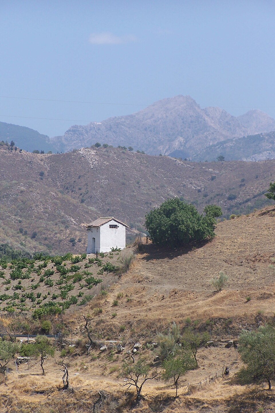 Foto 3 — Canillas de Aceituno, Málaga (29033)