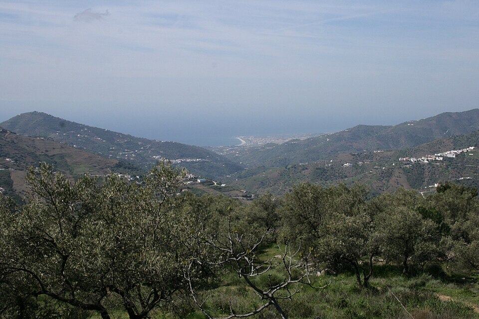 Foto 5 — Cómpeta, Málaga (29754)