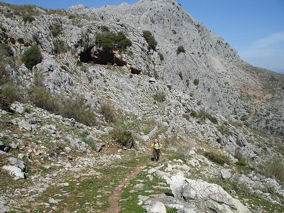Foto 2 — Cortes de la Frontera, Málaga (29380)