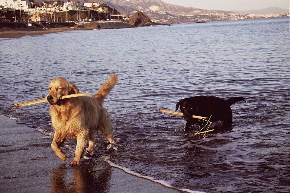 Foto 4 — Mijas, Málaga (29070)