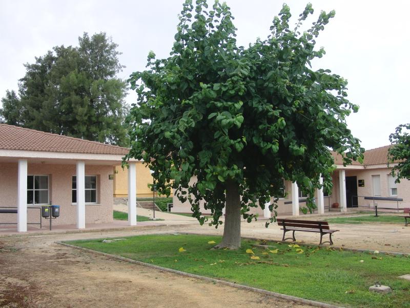 Vista de Mollina, Málaga (29072)