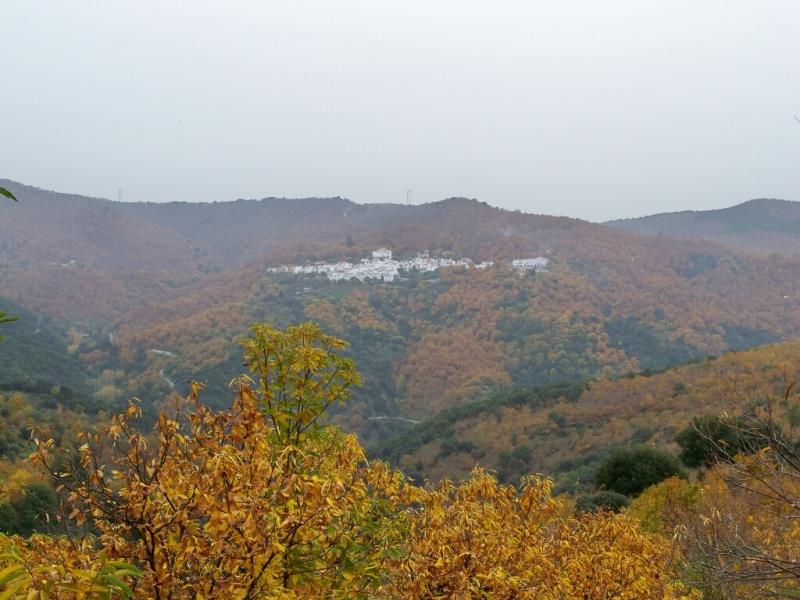 Vista de Pujerra, Málaga (29450)