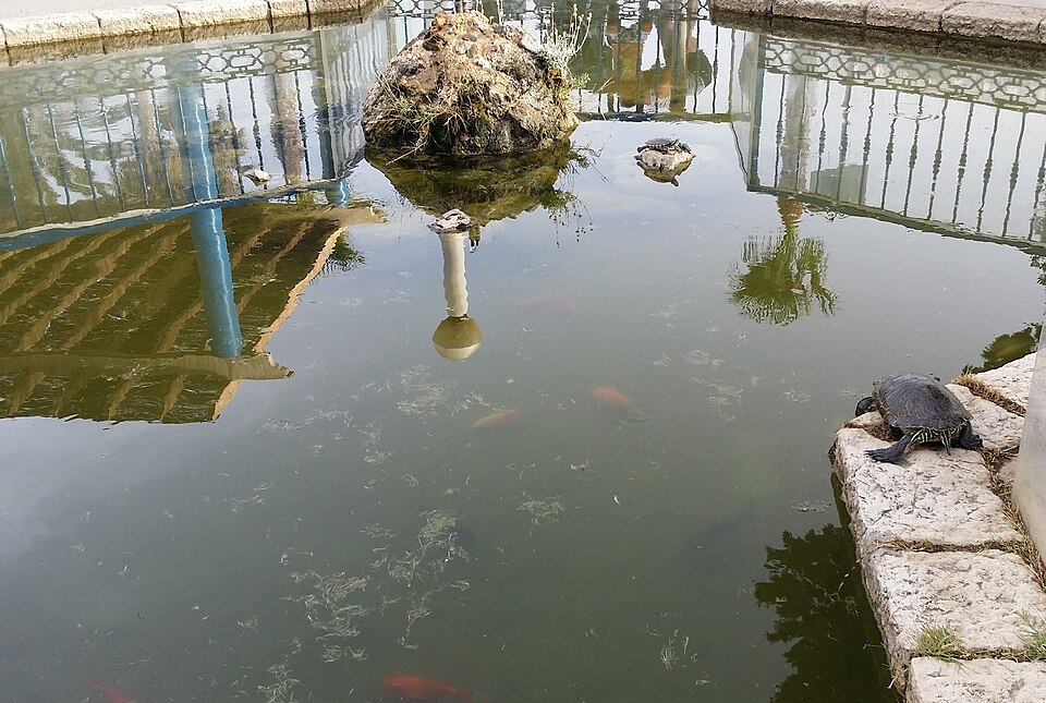 Foto 2 — Rincón de la Victoria, Málaga (29730)
