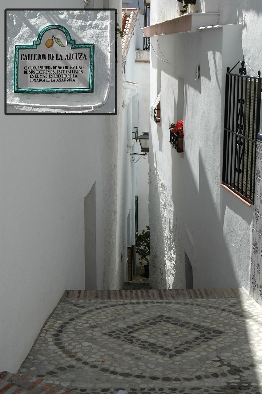 Foto 2 — Sayalonga, Málaga (29752)