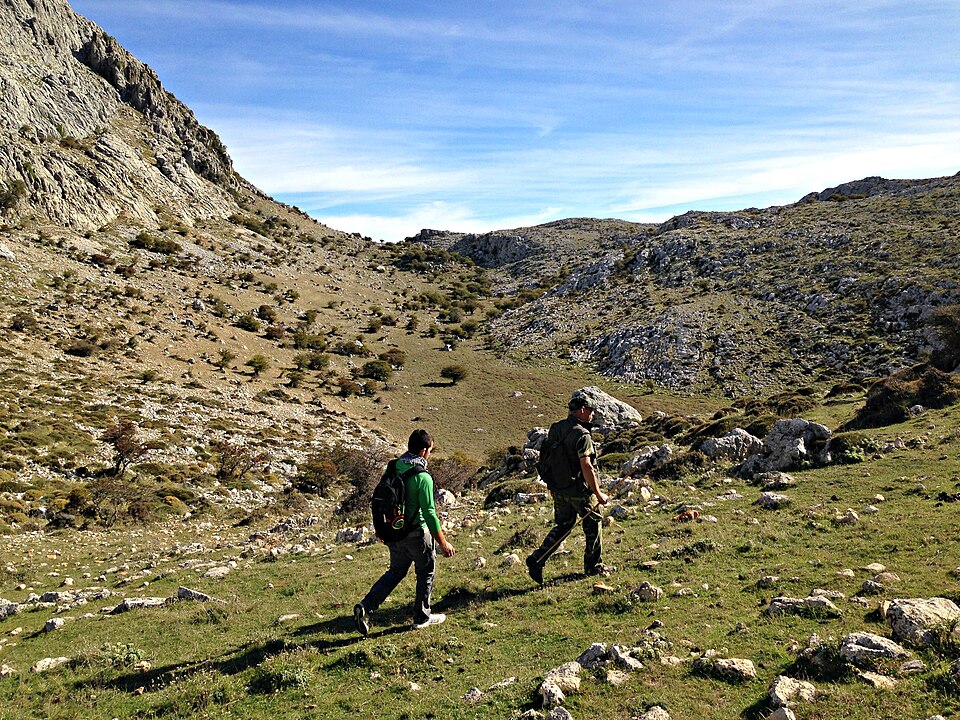 Foto 4 — Villanueva del Rosario, Málaga (29312)