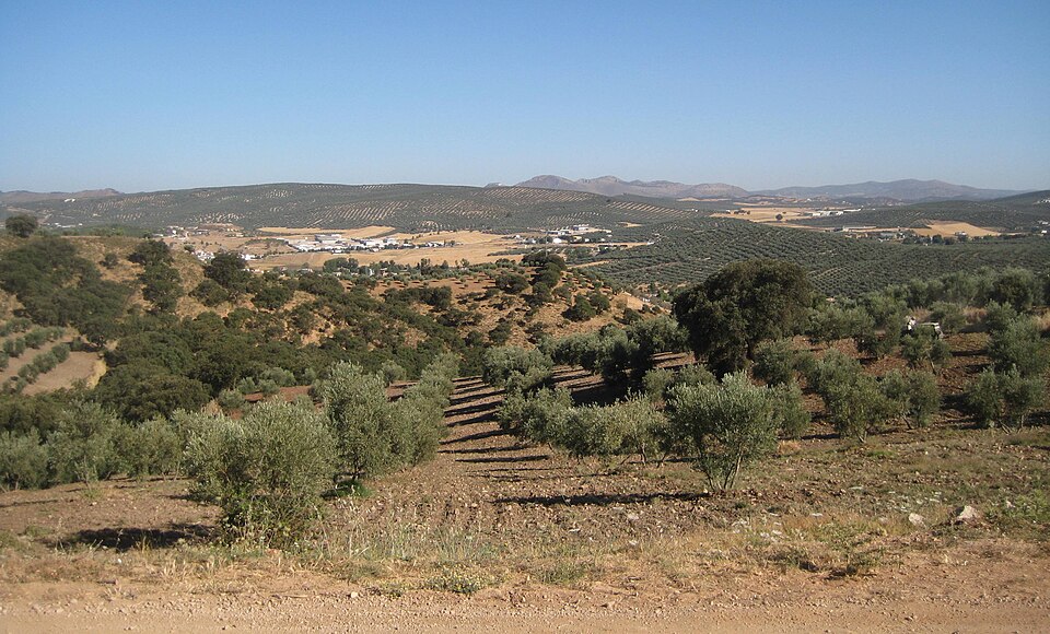 Foto 3 — Villanueva del Trabuco, Málaga (29313)