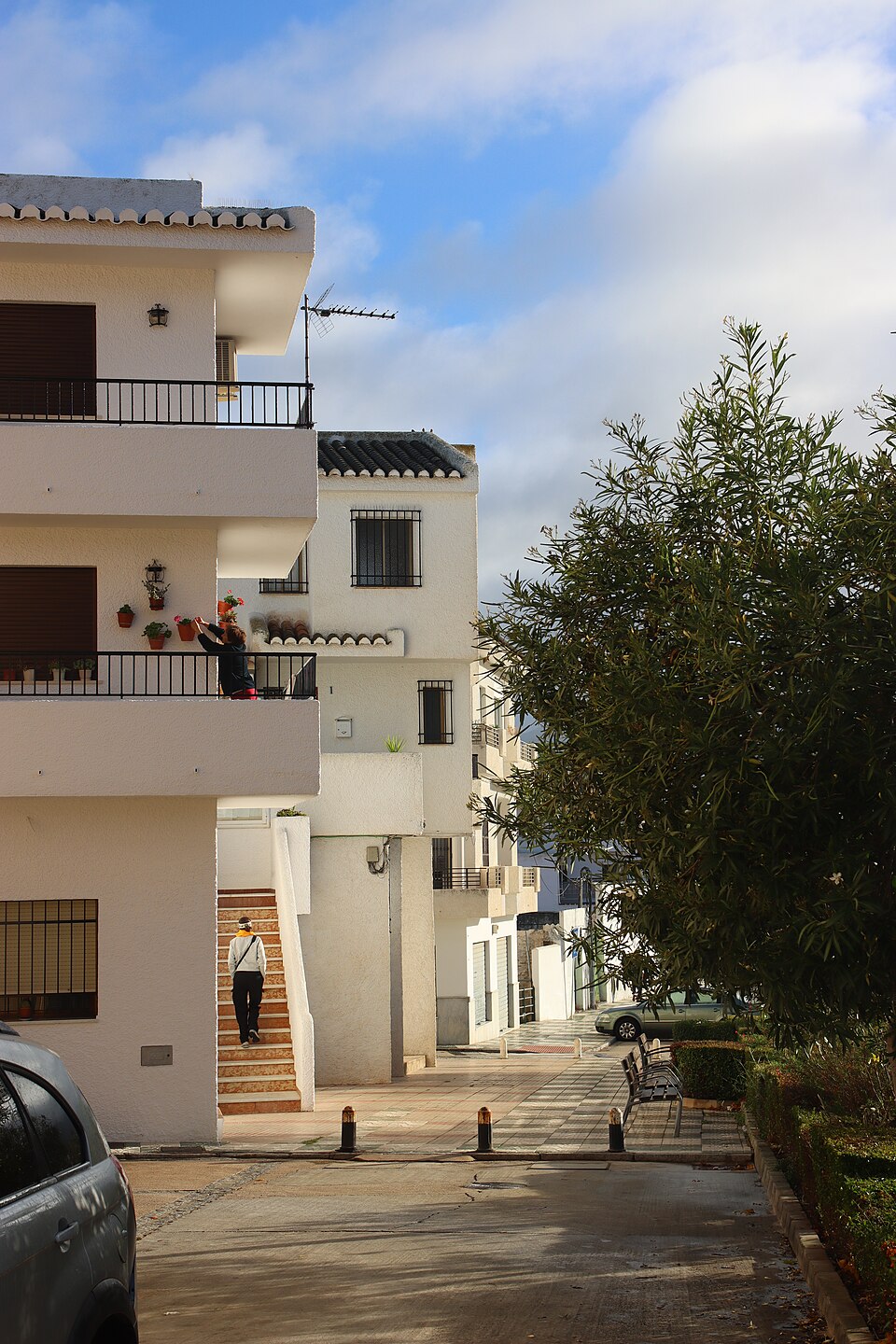 Foto 5 — Villanueva del Trabuco, Málaga (29313)