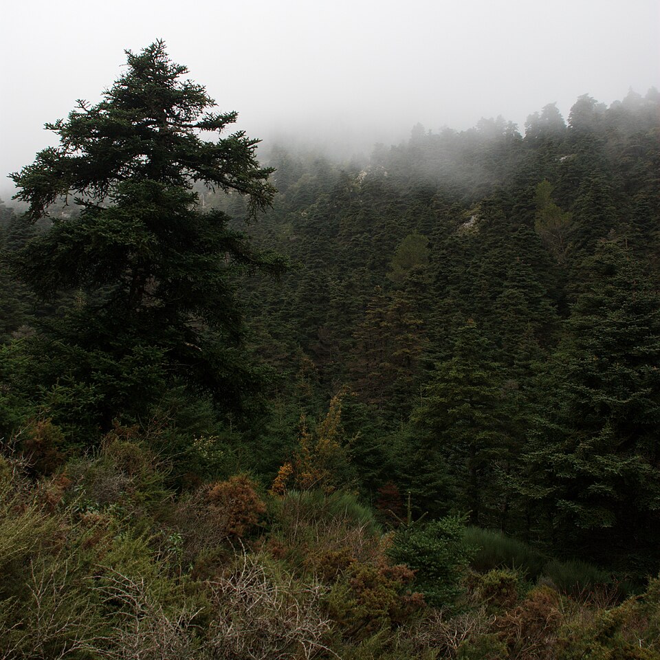 Foto 3 — Yunquera, Málaga (29410)