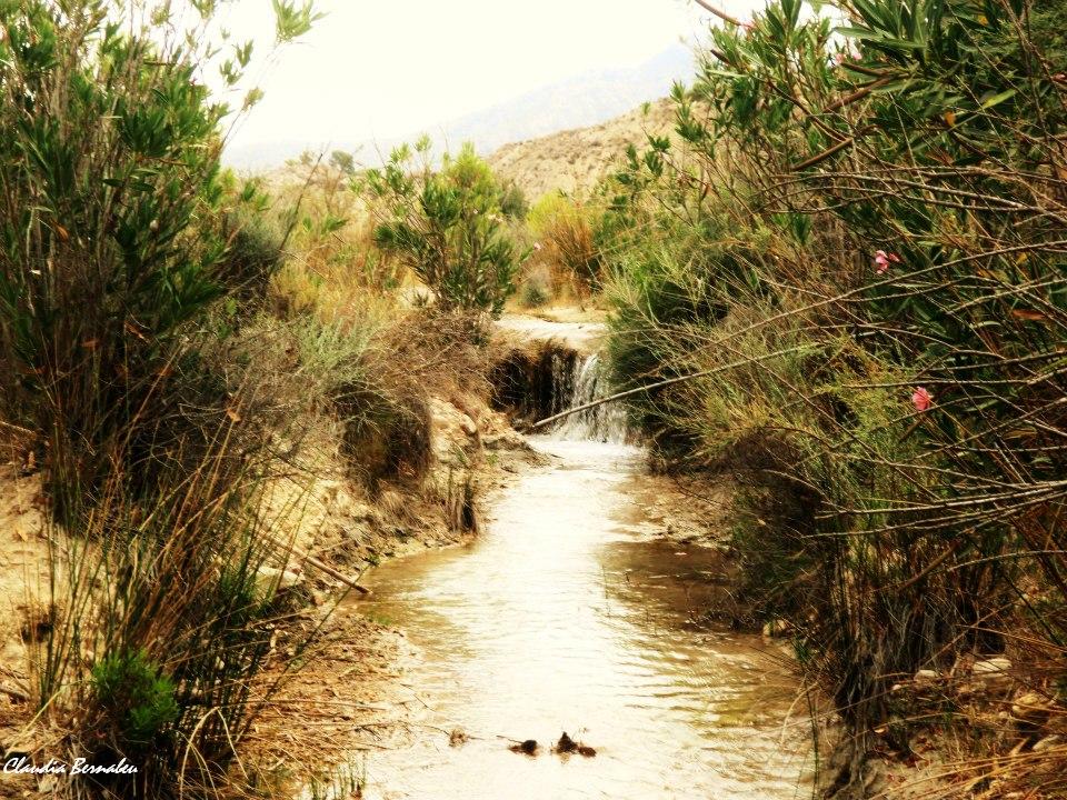 Foto 4 — Abanilla, Murcia (30640)