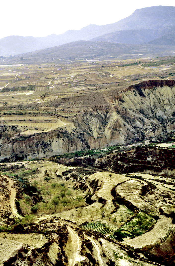 Foto 4 — Aledo, Murcia (30859)