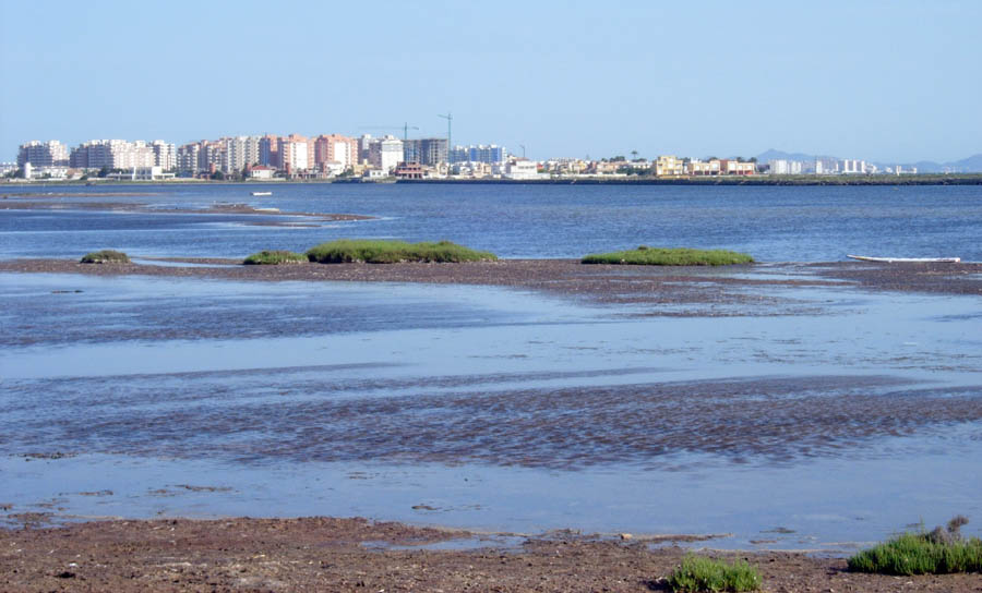 Foto 4 — San Pedro del Pinatar, Murcia (30740)