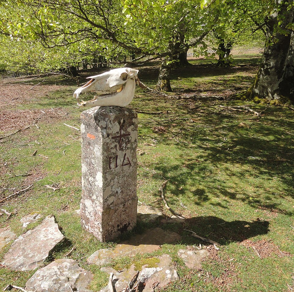 Foto 2 — Baztan, Navarra (31591)