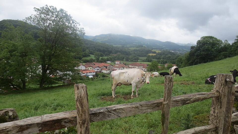 Foto 3 — Baztan, Navarra (31591)