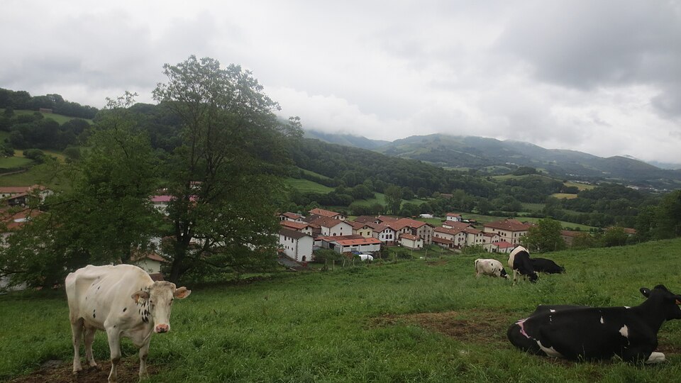 Foto 4 — Baztan, Navarra (31591)