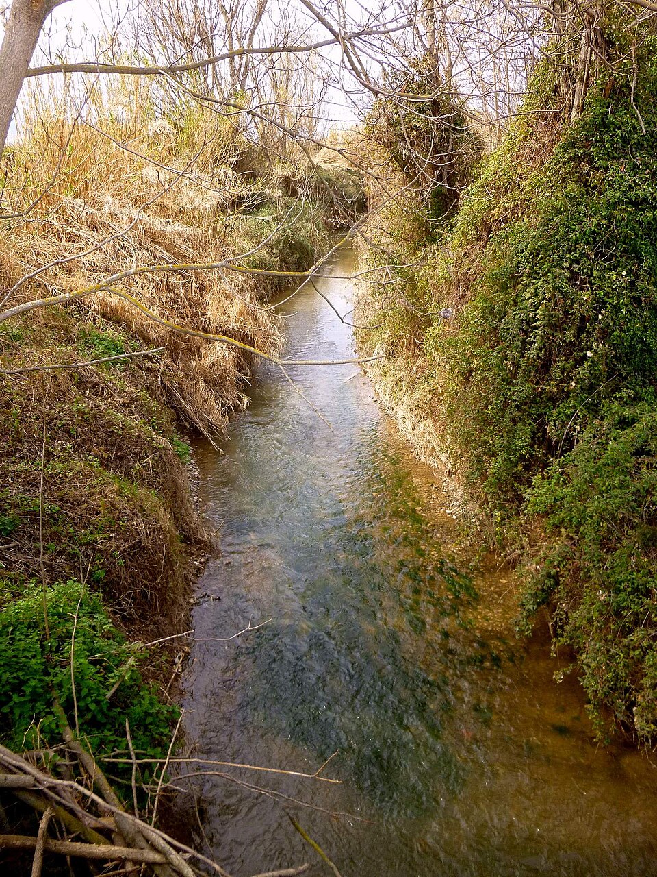 Foto 4 — Cortes, Navarra (31530)