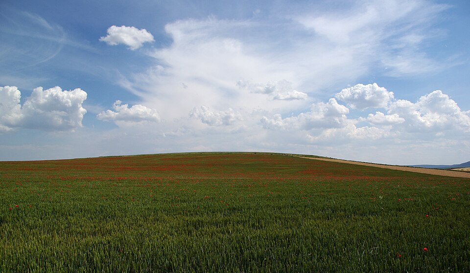 Foto 5 — Fitero, Navarra (31593)