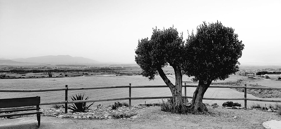 Foto 4 — Fustiñana, Navarra (31510)