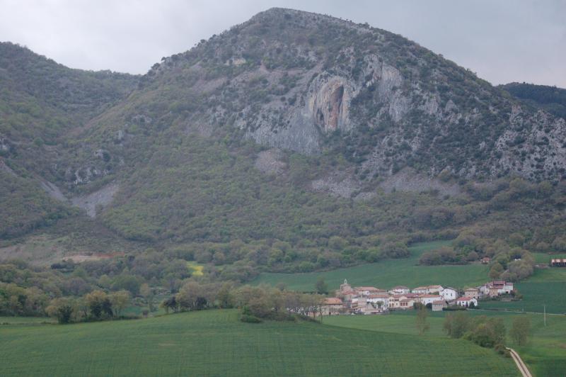 Goñi