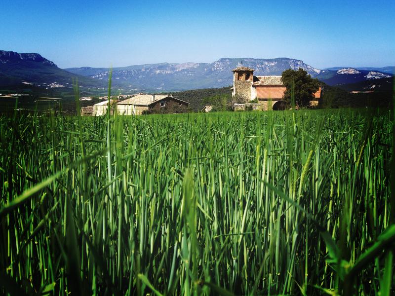 Vista de Igúzquiza, Navarra (31241)