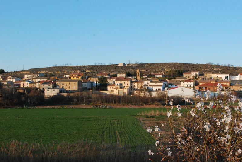 Vista de Lazagurría, Navarra (31588)