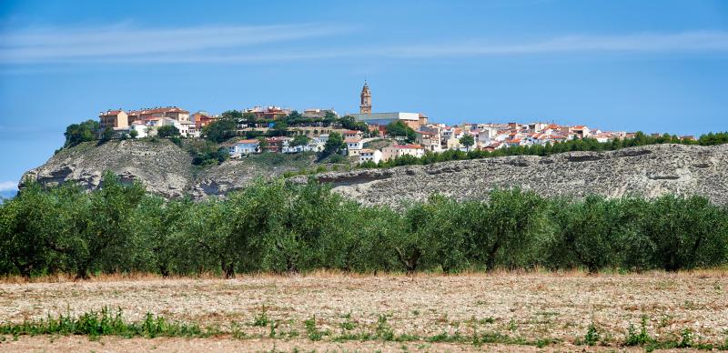 Vista de Lerín, Navarra (31260)