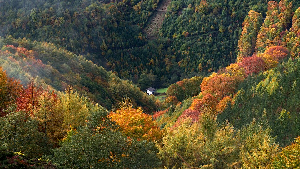Foto 4 — Lesaka, Navarra (31770)