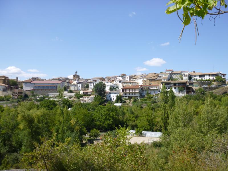 Vista de Lumbier, Navarra (31440)