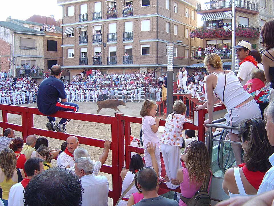 Foto 3 — Mendavia, Navarra (31587)