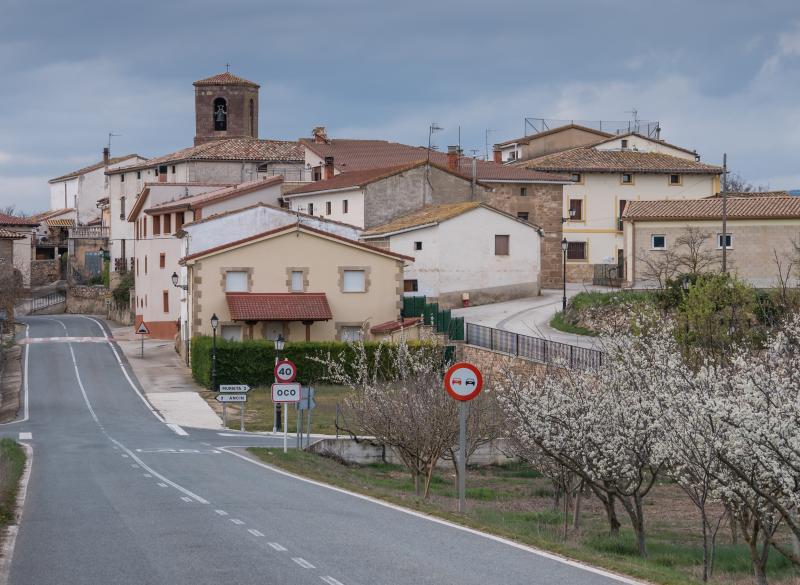Vista de Oco, Navarra (31281)