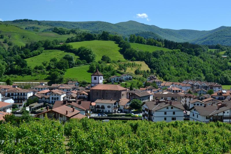 Vista de Doneztebe/Santesteban, Navarra (31740)