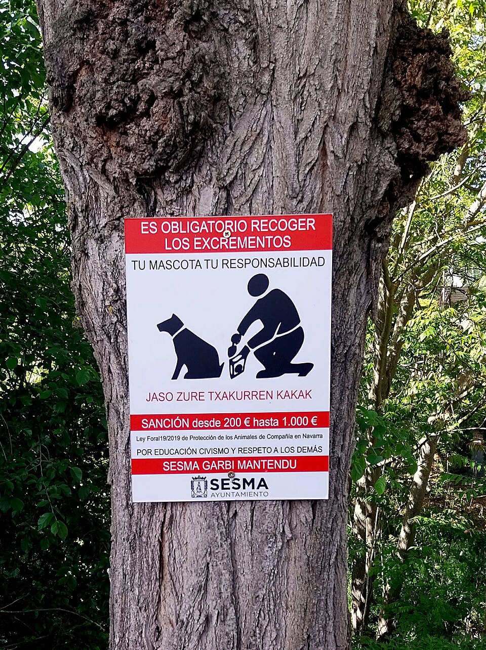 Foto 3 — Sesma, Navarra (31293)