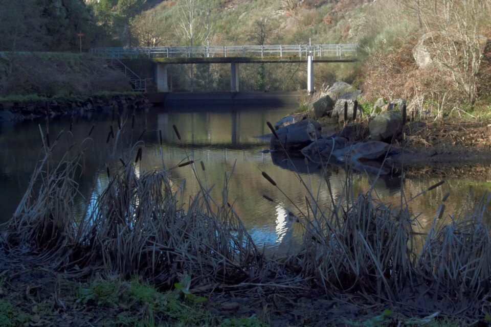 Foto 3 — Amoeiro, Ourense (32002)