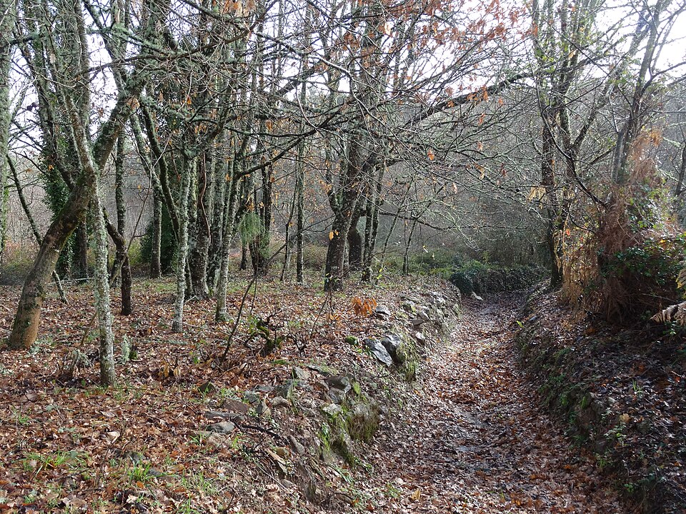 Foto 2 — Cartelle, Ourense (32020)